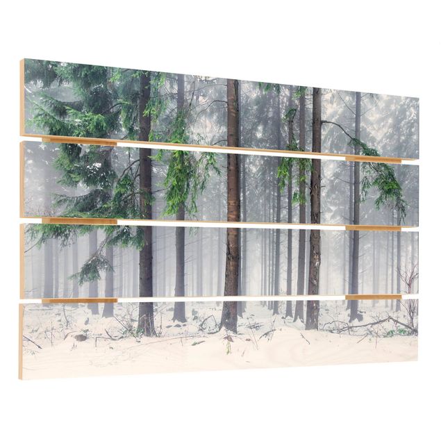 Holzbild - Nadelbäume im Winter - Querformat