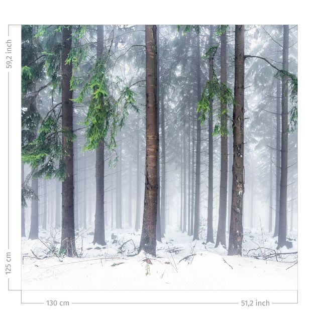 Wald Vorhang Nadelbäume im Winter