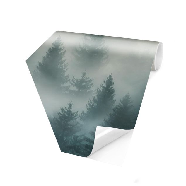 Hexagon Mustertapete selbstklebend - Nadelwald im Nebel