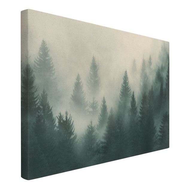 Wandbilder Nadelwald im Nebel