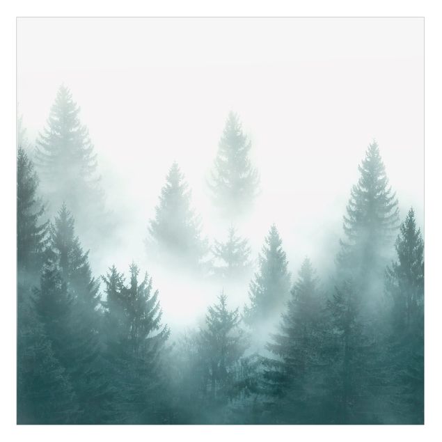 Selbstklebende Fensterbilder Nadelwald im Nebel