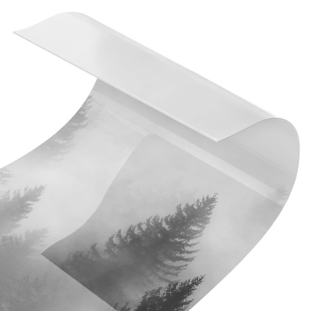 Duschrückwand - Nadelwald im Nebel Schwarz Weiß