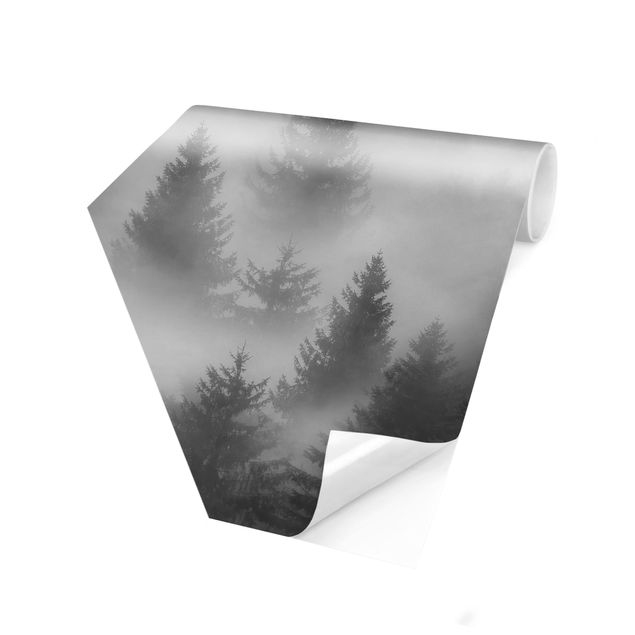 Fototapete schwarz Nadelwald im Nebel Schwarz Weiß