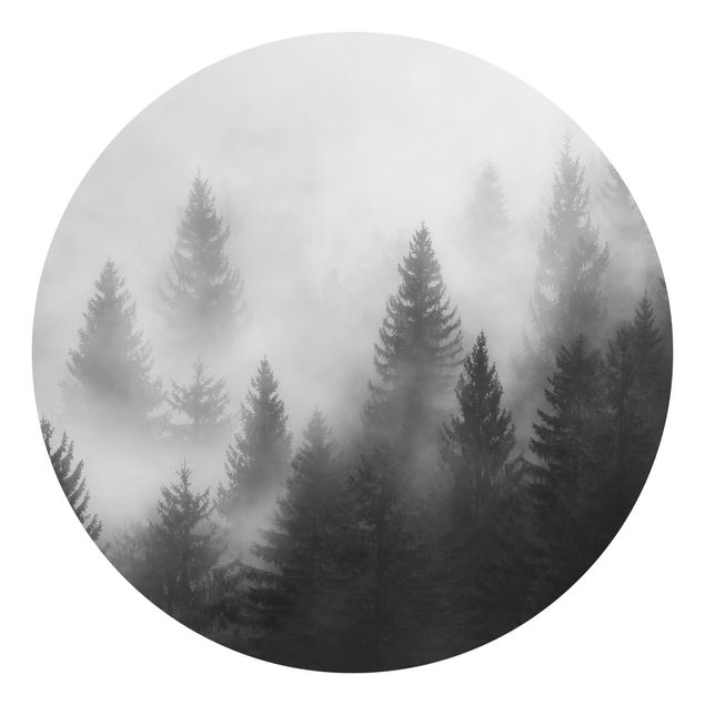 Fototapete Natur Nadelwald im Nebel Schwarz Weiß