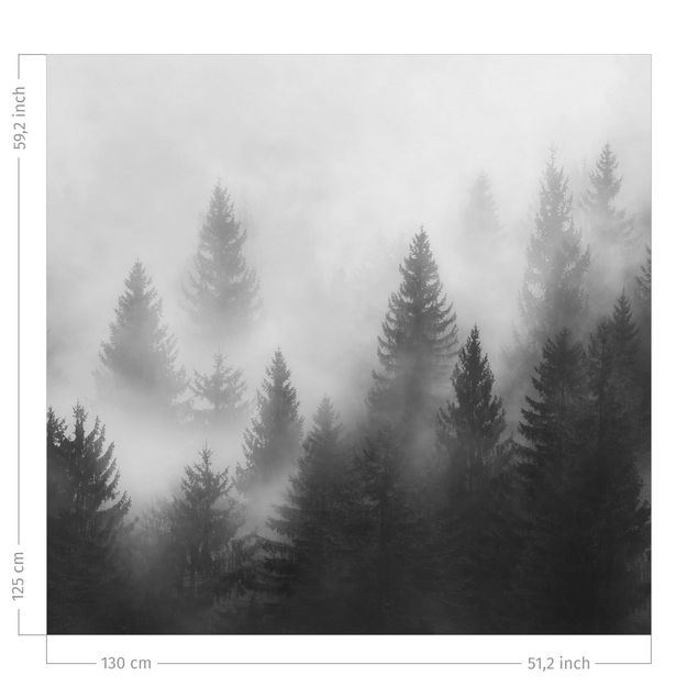 Vorhang Wald Nadelwald im Nebel Schwarz Weiß