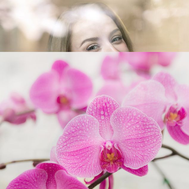 Fensterfolien Nahaufnahme Orchidee