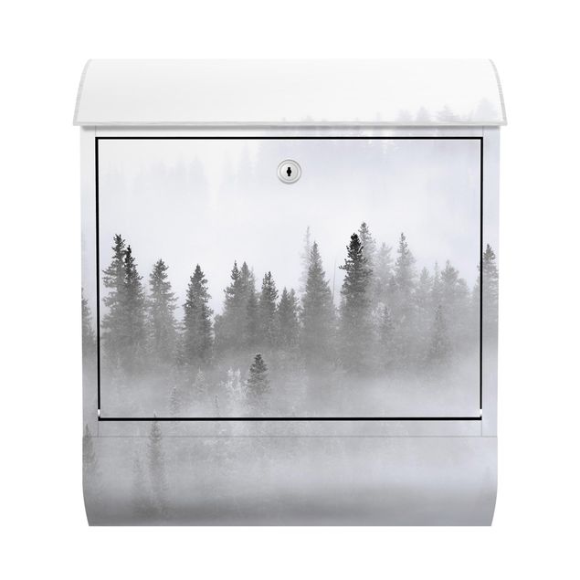 Postkasten weiß Nebel im Tannenwald Schwarz-Weiß