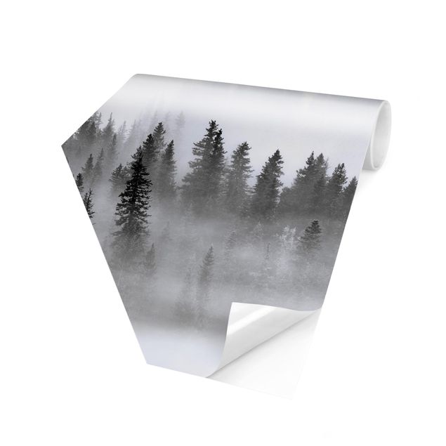 Wandtapete schwarz Nebel im Tannenwald Schwarz-Weiß