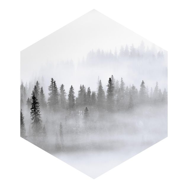 Weiße Tapeten Nebel im Tannenwald Schwarz-Weiß