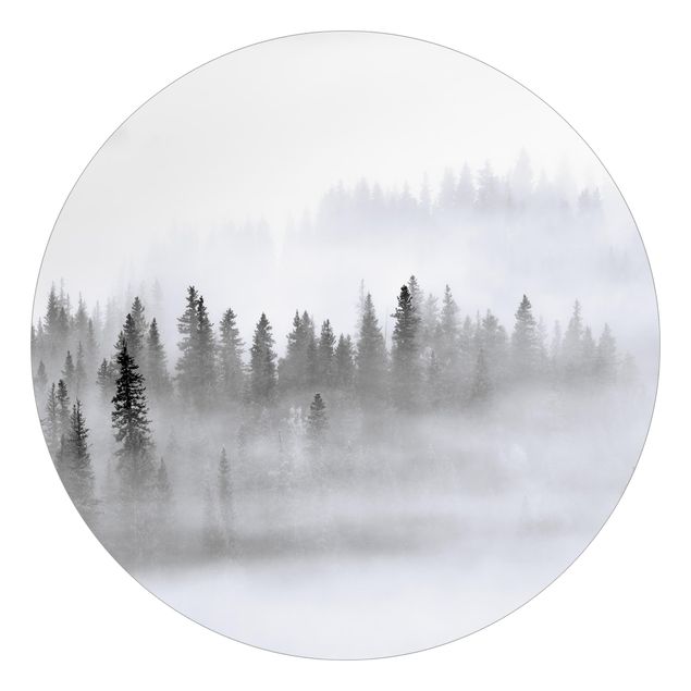 Tapete Natur Nebel im Tannenwald Schwarz-Weiß