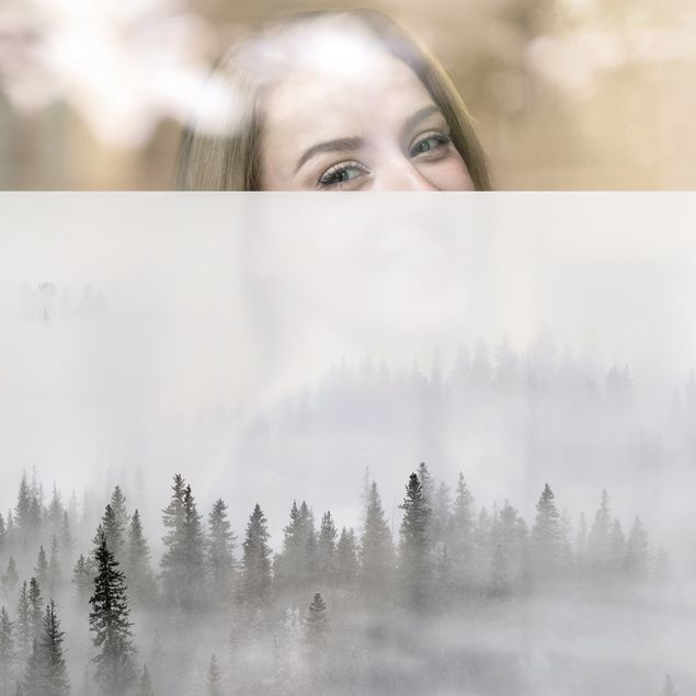 Fensterbilder XXL Nebel im Tannenwald Schwarz-Weiß