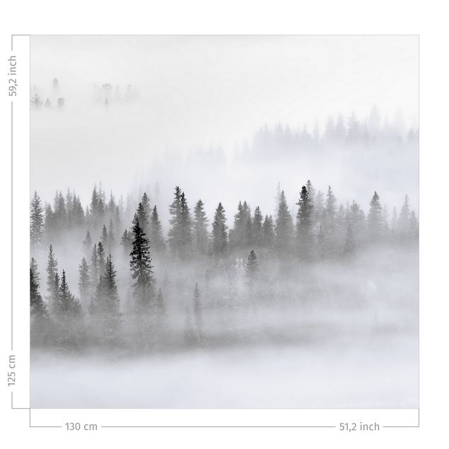 Wald Vorhang Nebel im Tannenwald Schwarz-Weiß