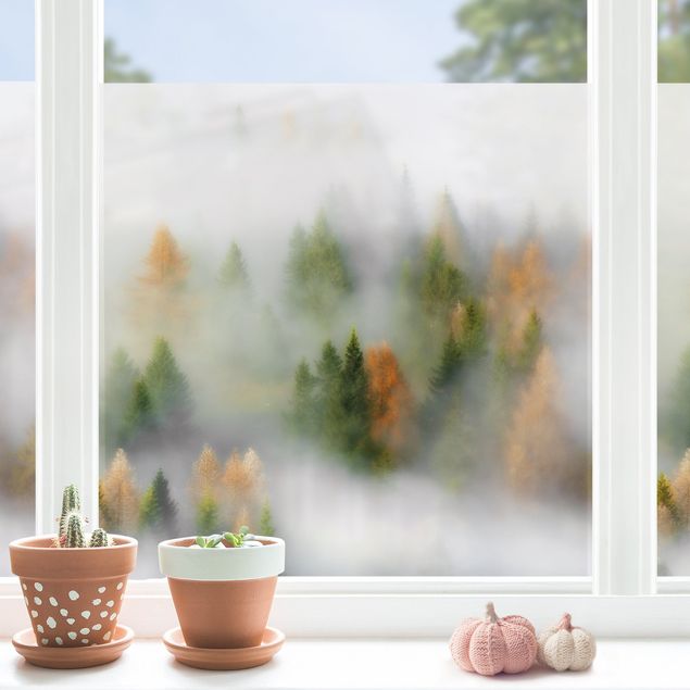 Wald Fensterbild Nebelwald im Herbst