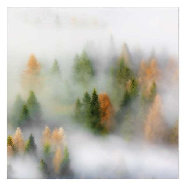 Fensterfolien Nebelwald im Herbst
