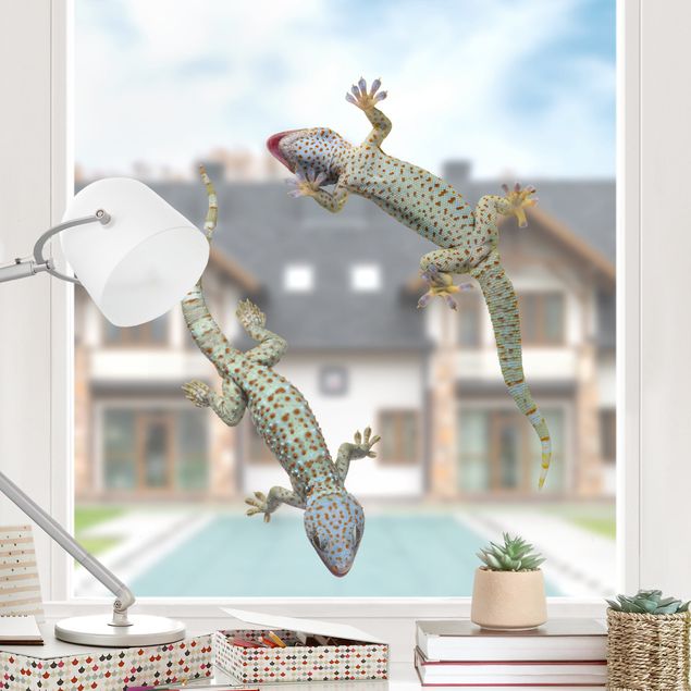 Fensterfolie Tiere Neugierige Geckos