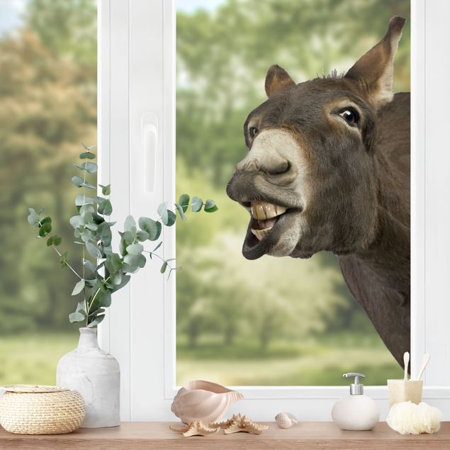 Fenstersticker Tiere Neugieriger Esel