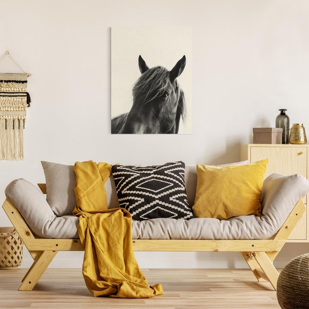 Leinwandbild Kunstdruck Neugieriges Pferd