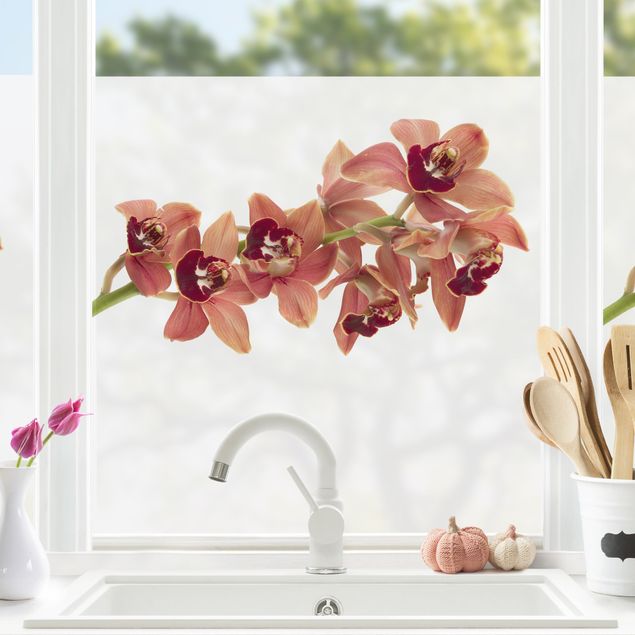 Fensterbilder Blumen No.180 Orchidee Rot II