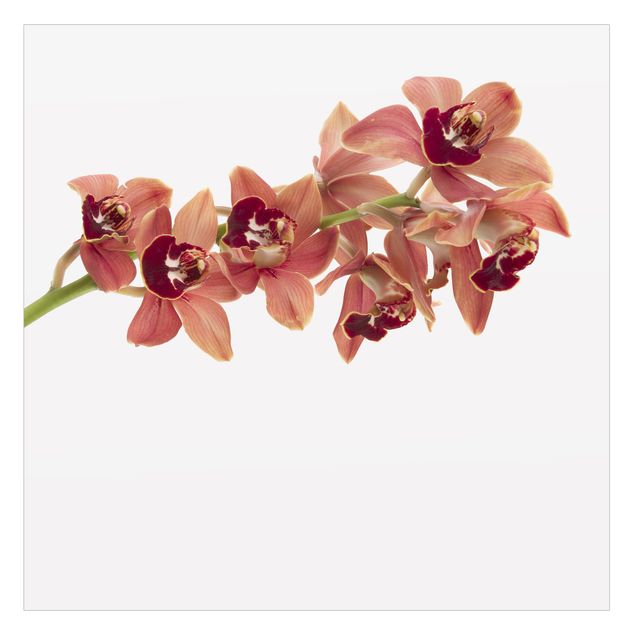 Fensterfolie No.180 Orchidee Rot II