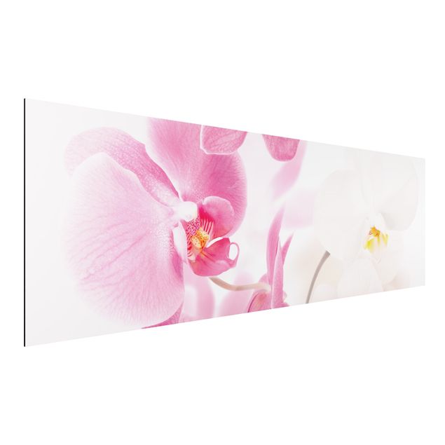 Bilder für die Wand Delicate Orchids