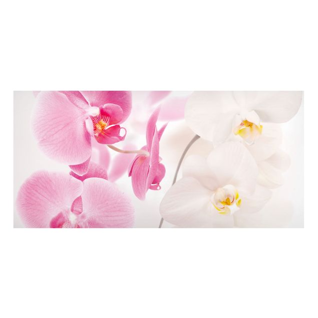 Magnettafel Blumen Delicate Orchids
