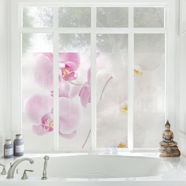 Orchideenbild Fensterfolie - Sichtschutz Fenster Delicate Orchids - Blumen Fensterbilder