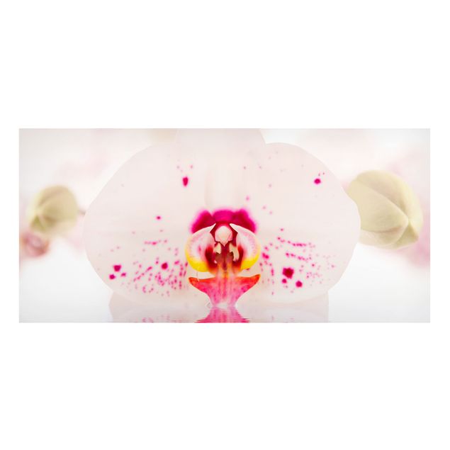 Magnettafel Blumen Gepunktete Orchidee auf Wasser