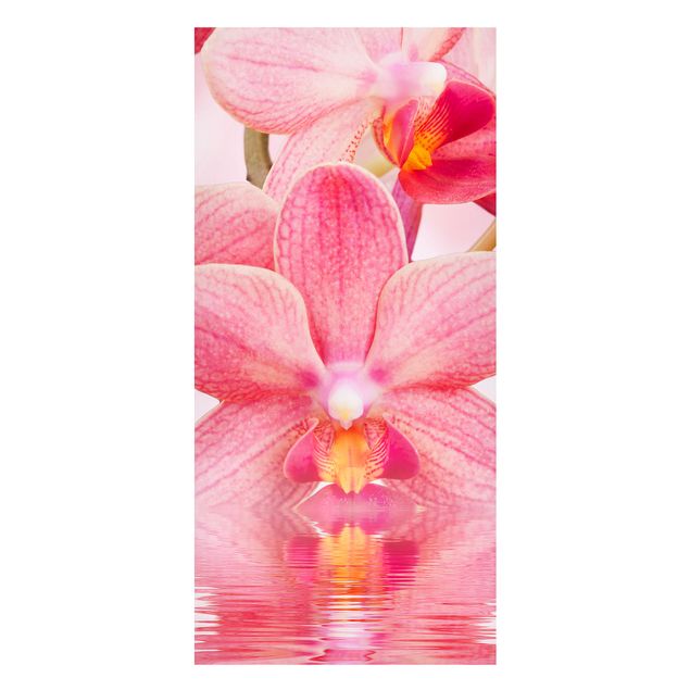 Magnettafel Blumen Rosa Orchideen auf Wasser