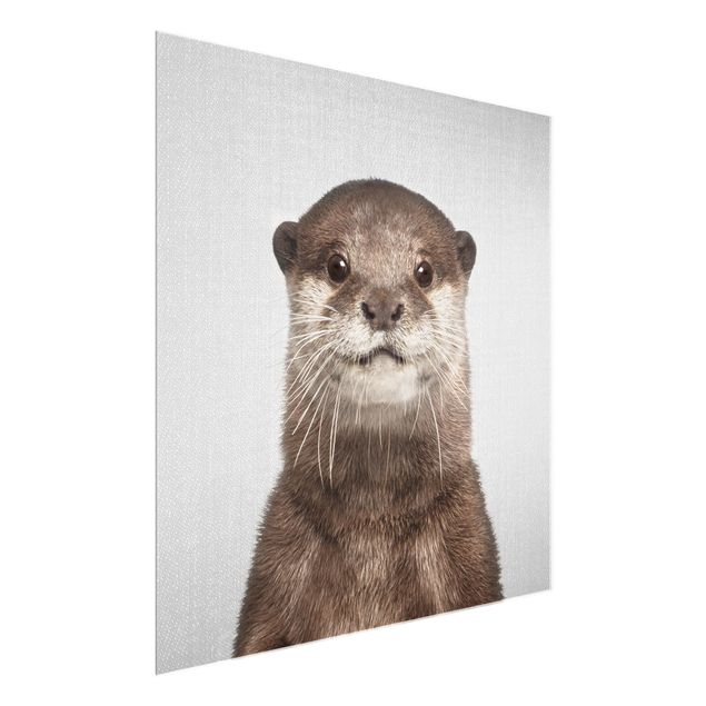 Glasbild Tiere Otter Oswald