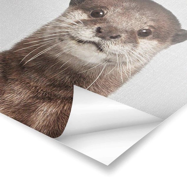 Poster - Otter Oswald - Quadrat 1:1