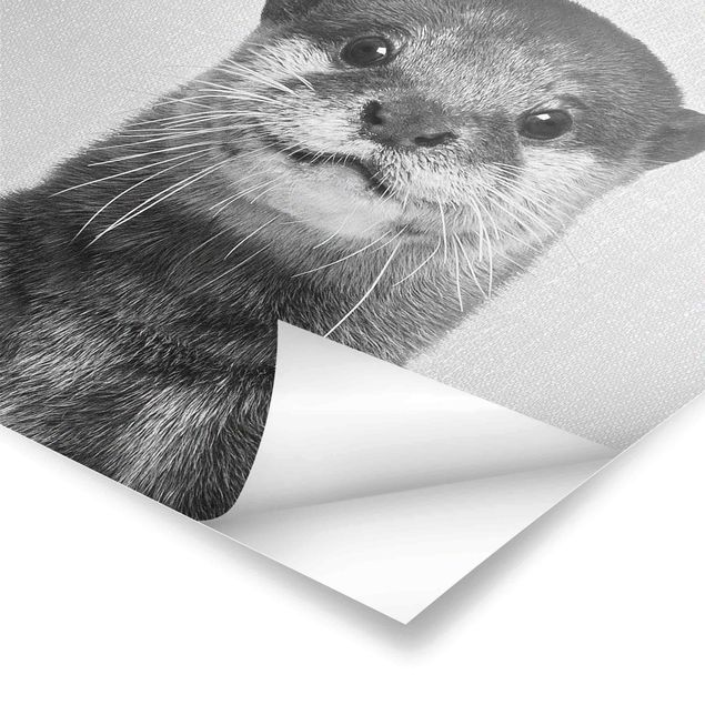 Poster - Otter Oswald Schwarz Weiß - Quadrat 1:1