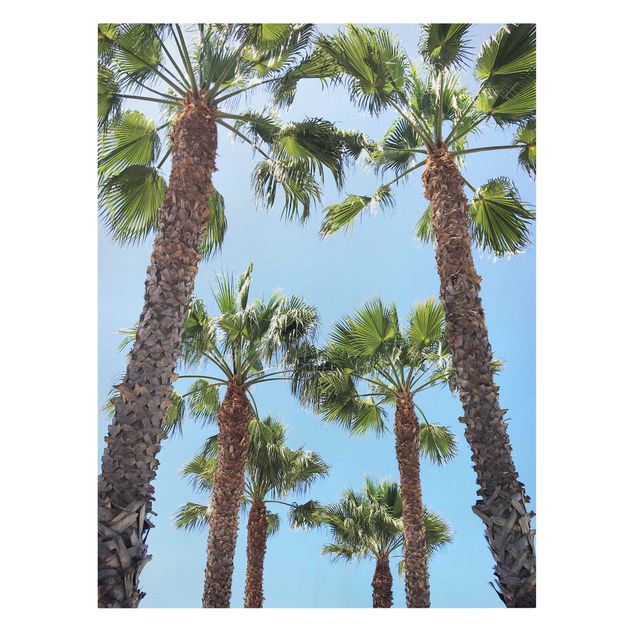 Bilder für die Wand Palmen am Venice Beach