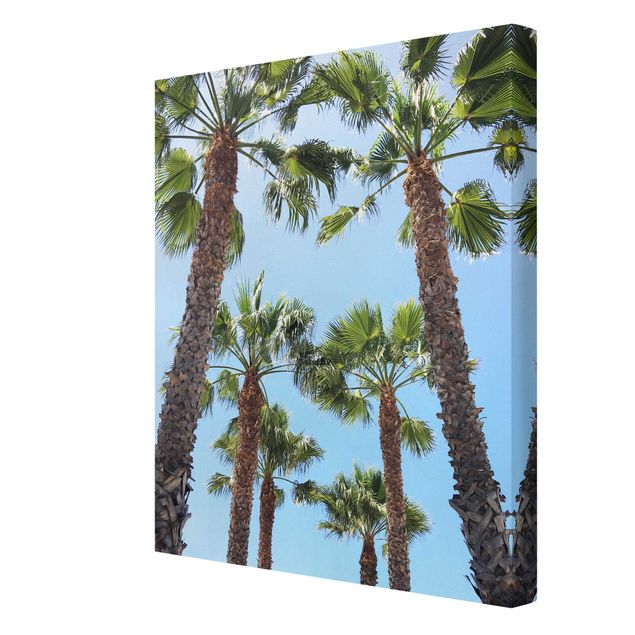 Schöne Leinwandbilder Palmen am Venice Beach