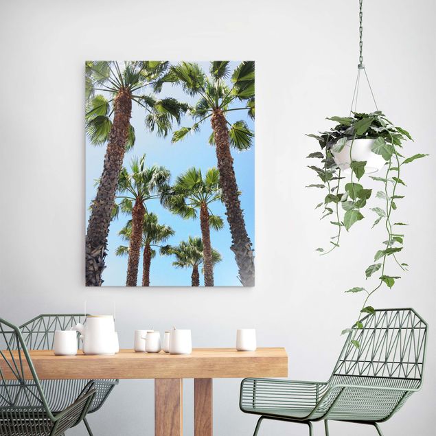 Natur Glasbilder Palmen am Venice Beach