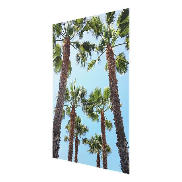 Glasbild - Palmen am Venice Beach - Hochformat