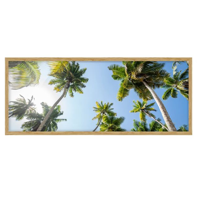 Bild mit Rahmen - Palmen Himmel - Panorama