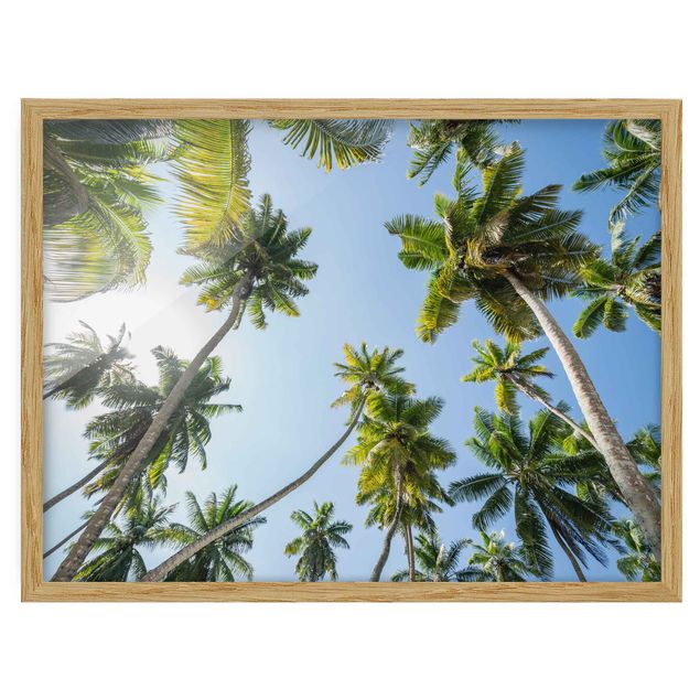 Bild mit Rahmen - Palmen Himmel - Querformat