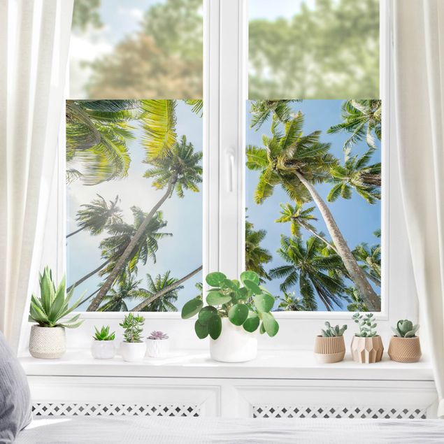 Fensterfolie Grün Palmen Himmel