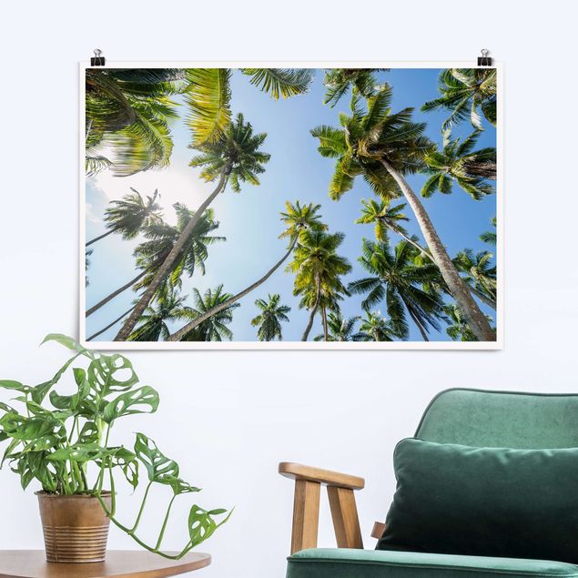 Poster Natur Palmen Himmel