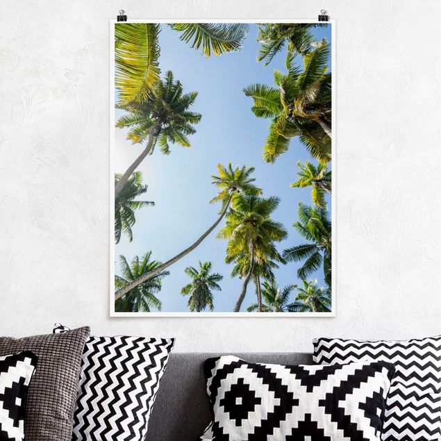 Natur Poster Palmen Himmel
