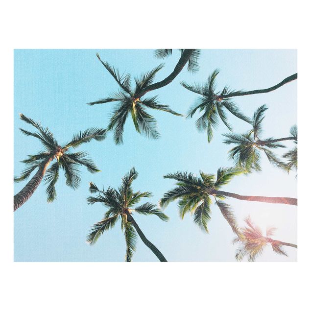 Glasbilder Palmengiganten im Himmel