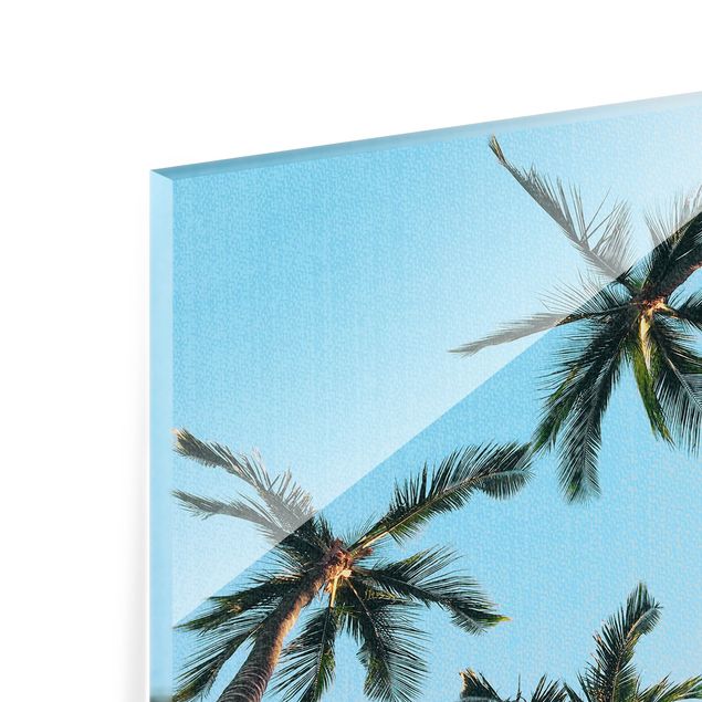 Glasbild - Palmengiganten im Himmel - Querformat