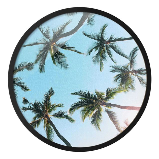 Wandbilder mit Rahmen Palmengiganten im Himmel