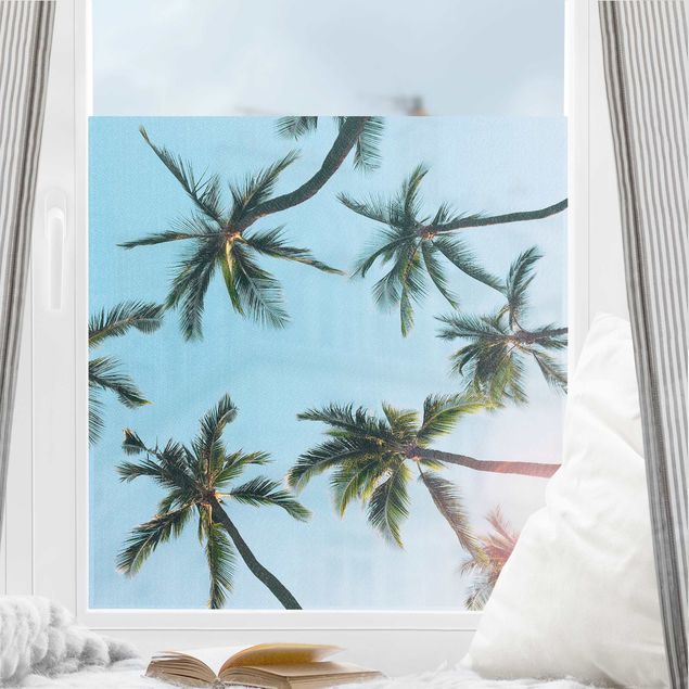 Fensterbild Strand Palmengiganten im Himmel