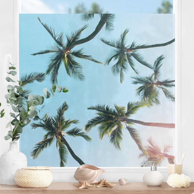 Fensterbilder Natur Palmengiganten im Himmel