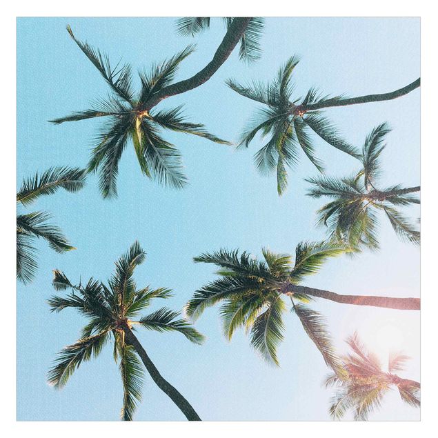 Selbstklebende Fensterbilder Palmengiganten im Himmel