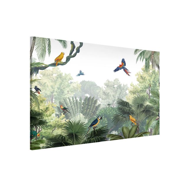 Wandbilder Tiere Papageienparade im sanften Dschungel