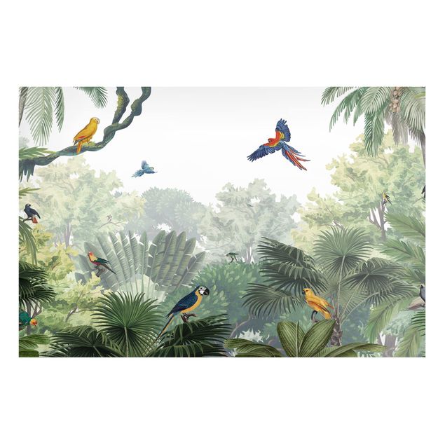 Magnettafel Büro Papageienparade im sanften Dschungel