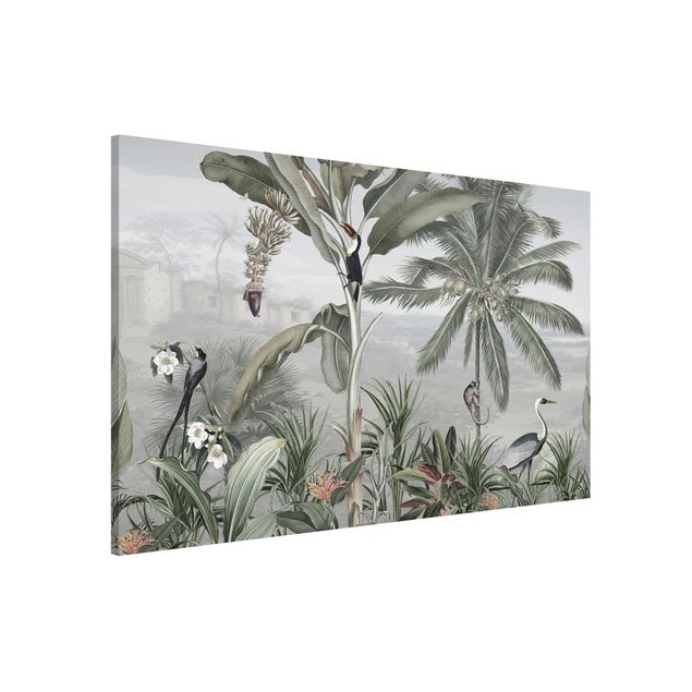 Wandbilder Tiere Paradiesvögel im Dschungelpanorama
