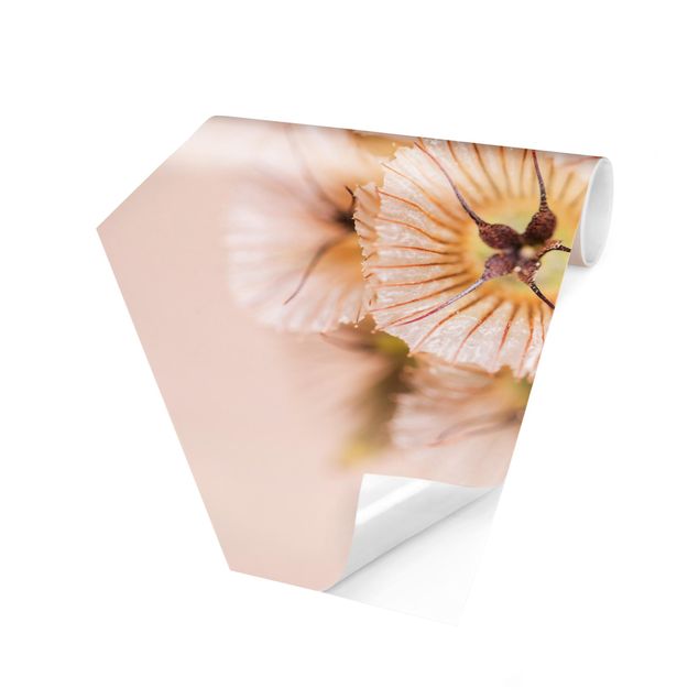 Schöne Fototapete Pastellfarbener Blütenstrauß II
